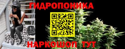 индика Дубна