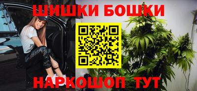 индика Дубна