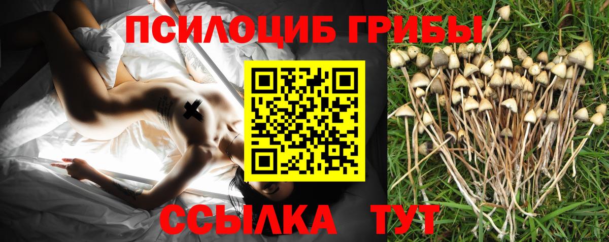 Галлюциногенные грибы ЛСД Усть-Джегута