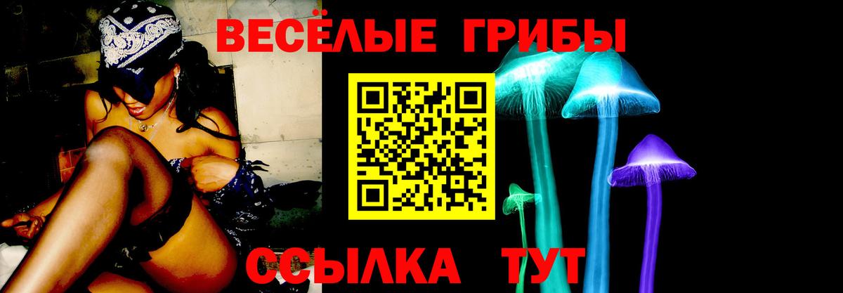 Усть-Джегута  купить  сайты  Псилоцибиновые грибы мухоморы  Вход с VPN  Псилоцибиновые грибы ЛСД 