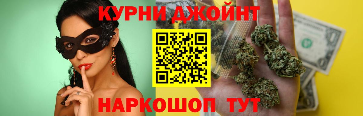 Бошки Шишки план Усть-Джегута